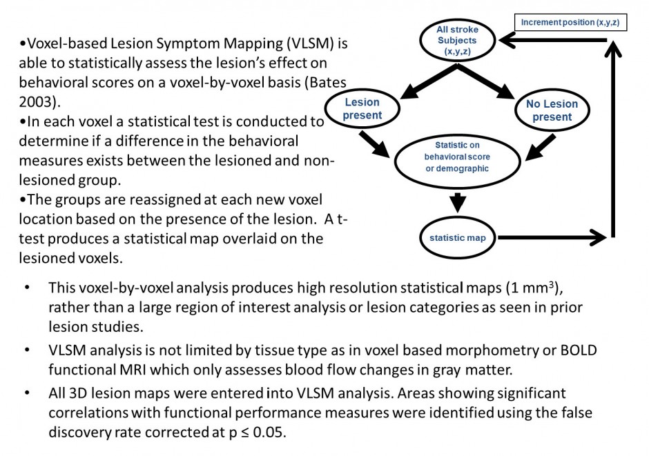 Voxel Lesion Symptom Mapping